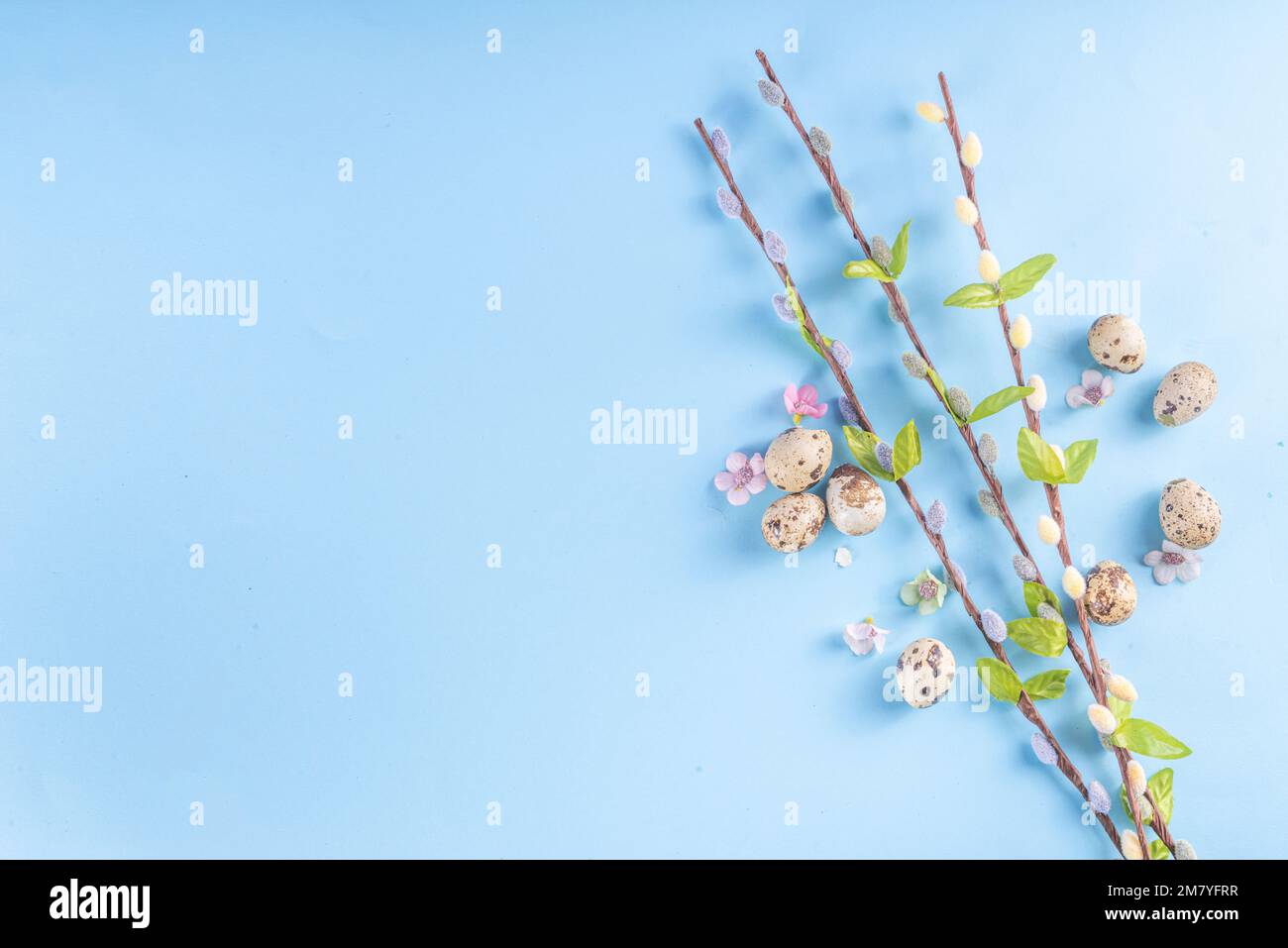 Spring Easter holiday top view background with eggs and willow flowers ...