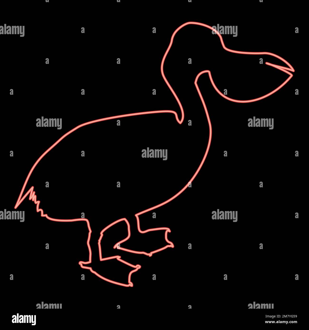 Neon pelican bird Seabird Waterbird red color vector illustration image