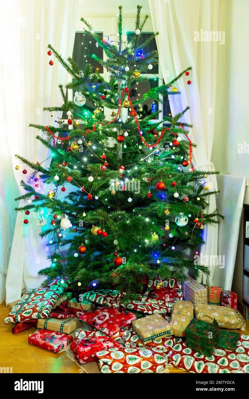 christmas tree at home Stock Photo Alamy