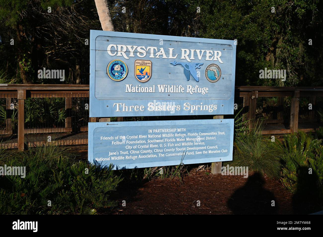 Crystal River offers visitors a variety of animal and birdlife in a