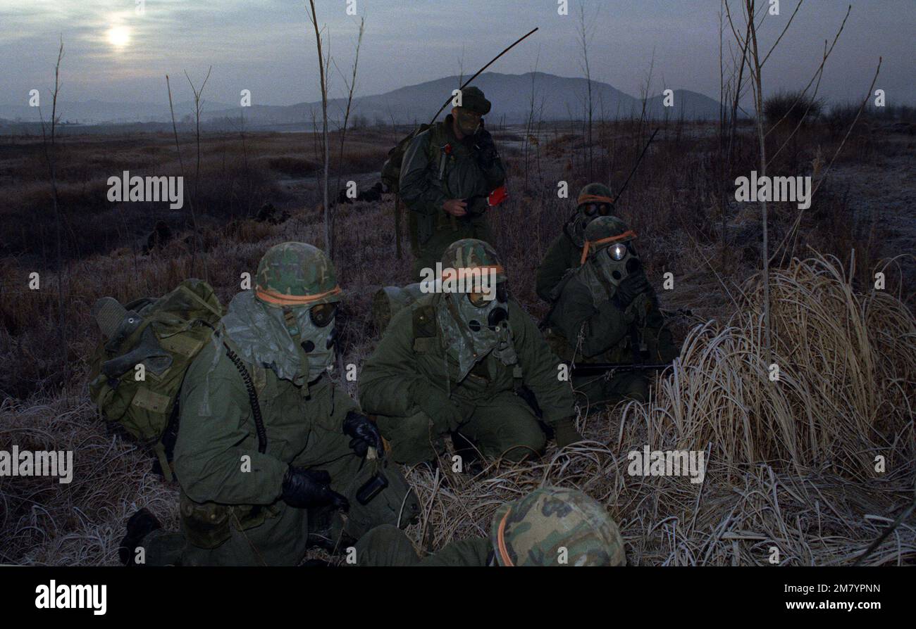Members of the 1ST Battalion, 19th Infantry, 25th Infantry Divison