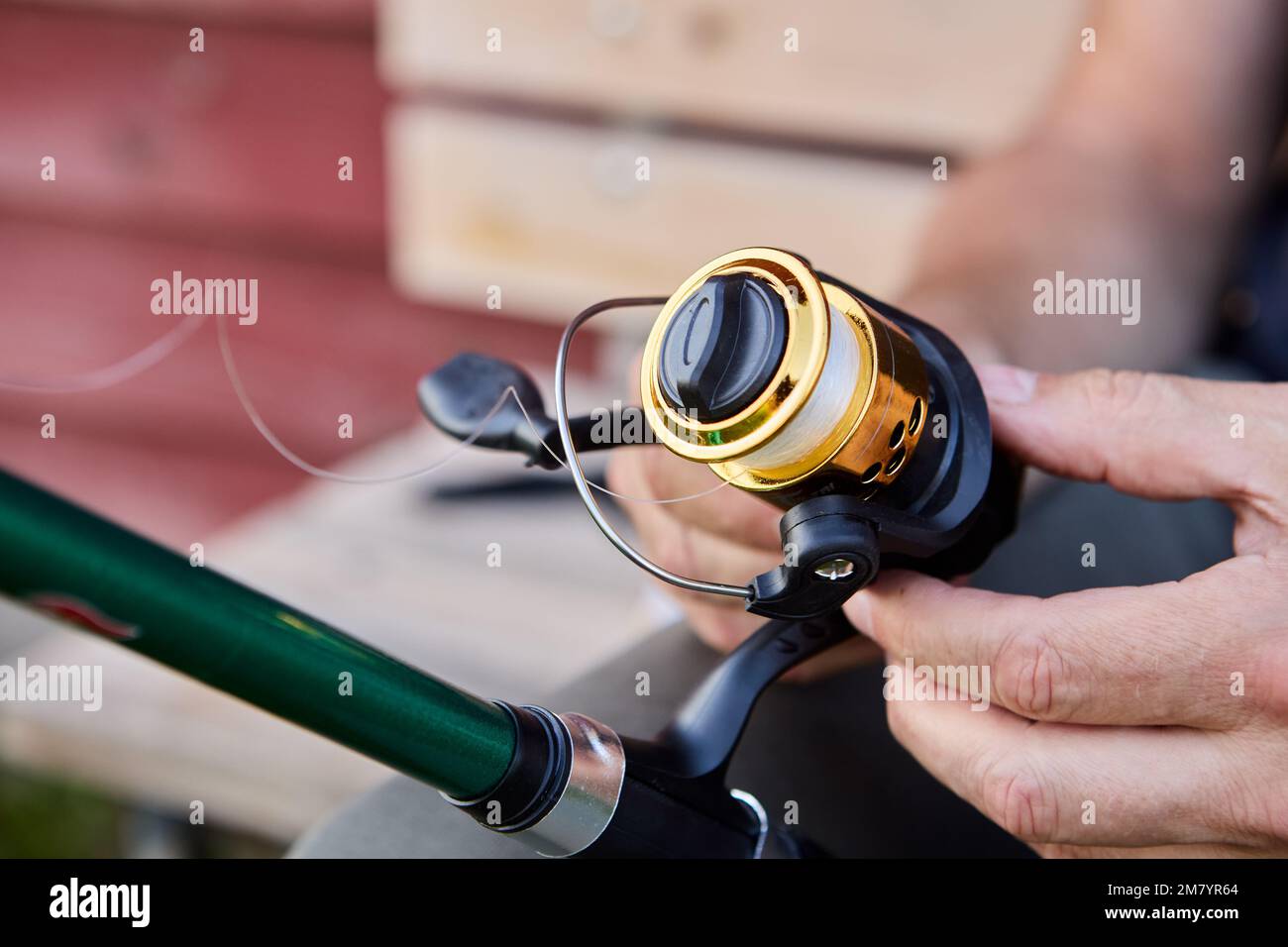 Fisherman is puts line on spinning fishing reel Stock Photo Alamy