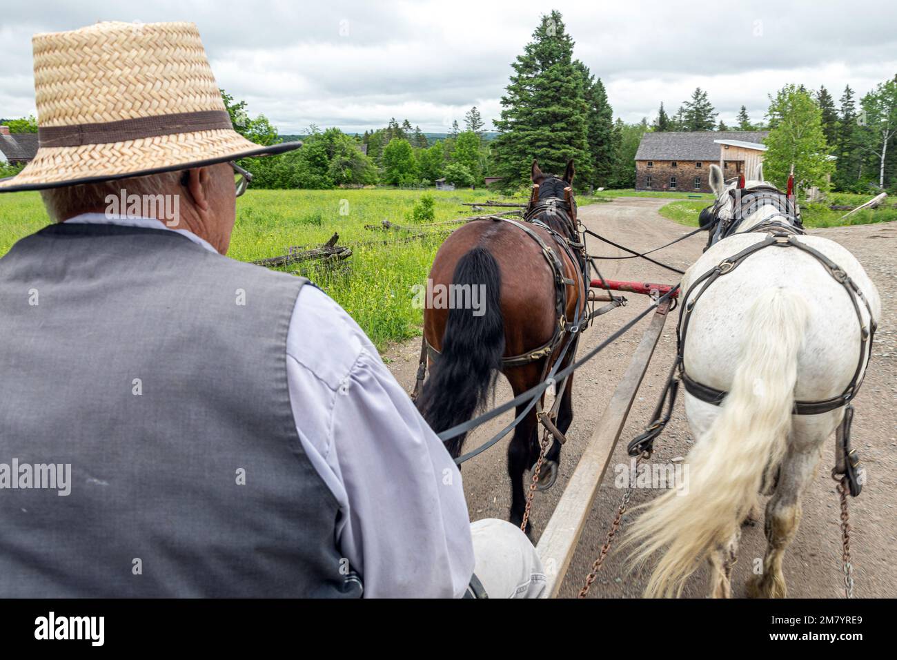 PERIOD HORSE HARNESSING FOR FARM WORK AND TRANSPORT, KINGS LANDING, HISTORIC ANGLOPHONE VILLAGE, PRINCE WILLIAM PARISH, FREDERICTON, NEW BRUNSWICK, CANADA, NORTH AMERICA Stock Photo