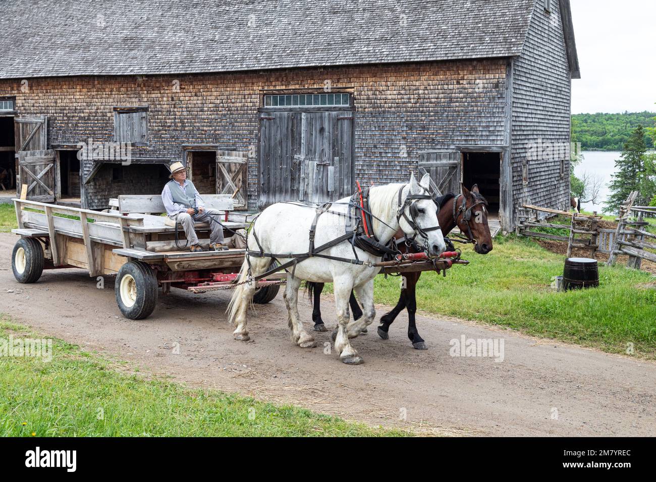 PERIOD HORSE HARNESSING FOR FARM WORK AND TRANSPORT, KINGS LANDING, HISTORIC ANGLOPHONE VILLAGE, PRINCE WILLIAM PARISH, FREDERICTON, NEW BRUNSWICK, CANADA, NORTH AMERICA Stock Photo