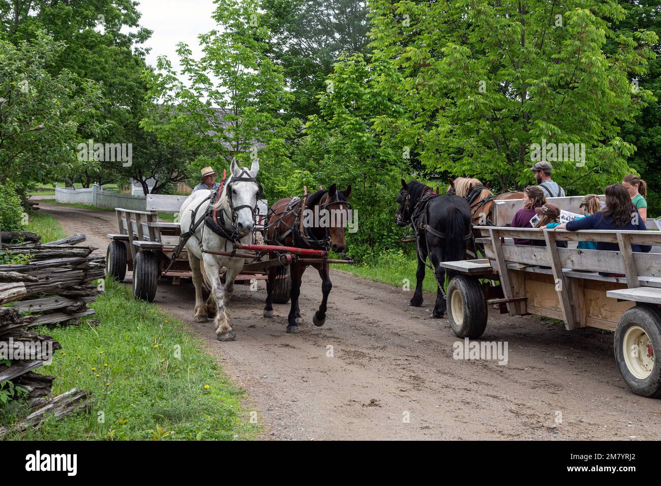 PERIOD HORSE HARNESSING FOR TAKING VISITORS AROUND, KINGS LANDING, HISTORIC ANGLOPHONE VILLAGE, PRINCE WILLIAM PARISH, FREDERICTON, NEW BRUNSWICK, CANADA, NORTH AMERICA Stock Photo