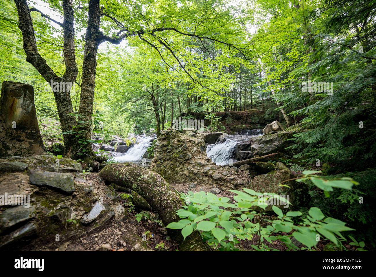 Ruines Carbide Willson, Chelsea, Québec, Canada Stock Photo
