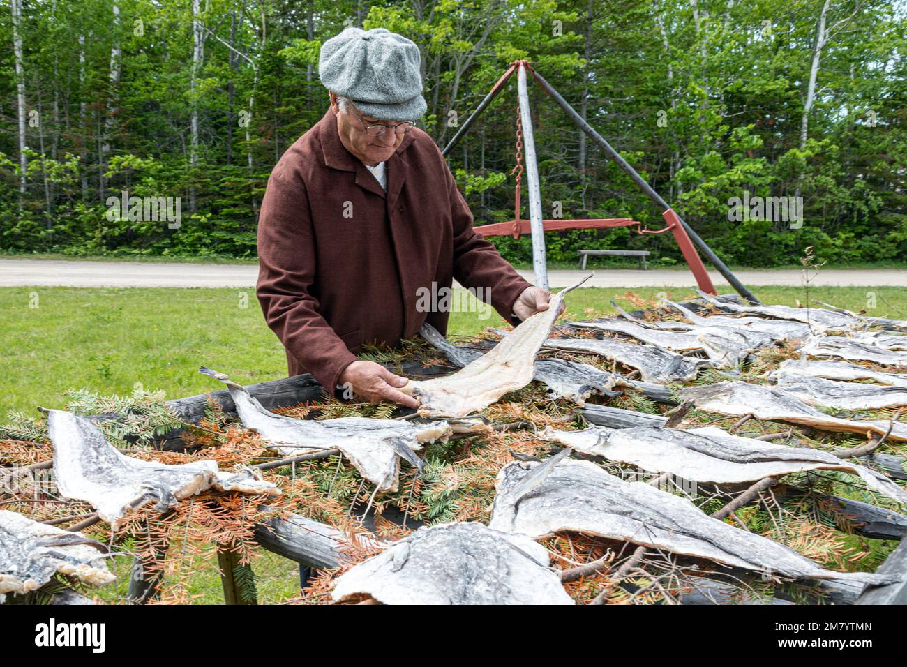 DRYING OF SALT COD IN FRONT OF THE ROBIN WAREHOUSE BUILT IN 1855