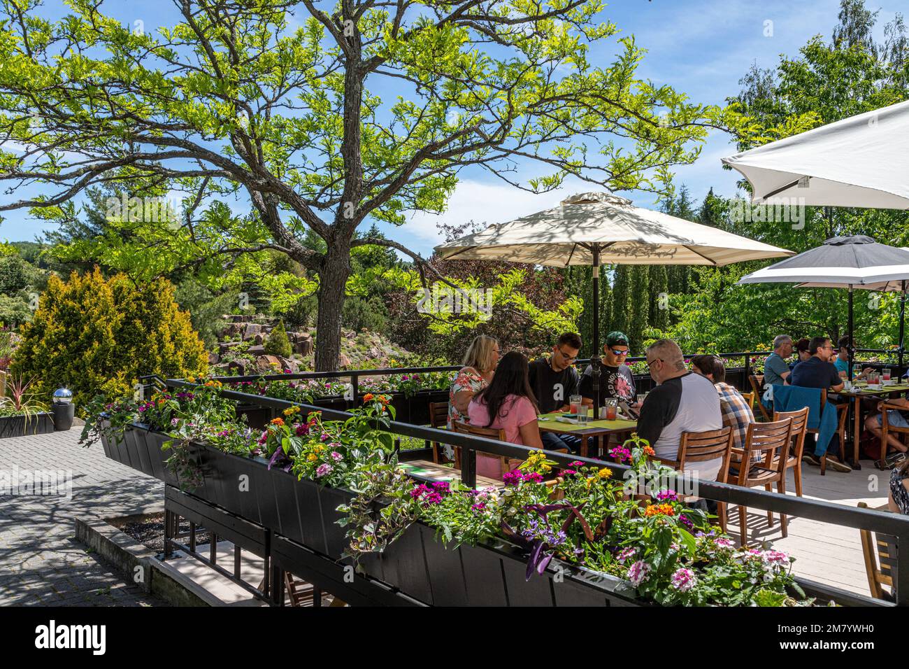 TERRACE AT THE CAFE FLORA POUR TRYING THE ORGANIC VEGETABLES FROM THE BOTANICAL GARDEN, EDMUNDSTON, NEW BRUNSWICK, CANADA, NORTH AMERICA Stock Photo