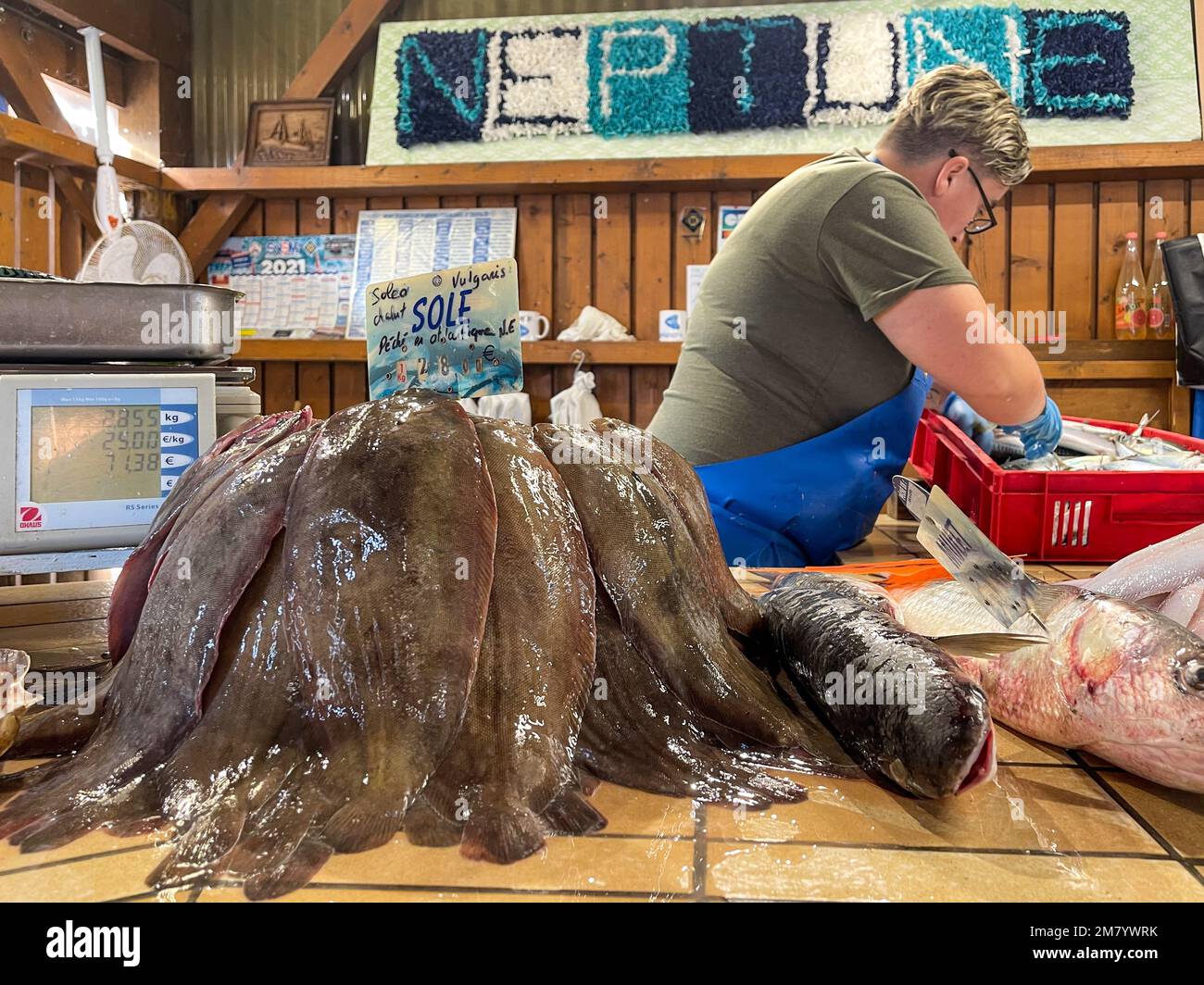 SOLES CAUGHT USING A TRAWLING NET, FISH MARKET OF DIVES-SUR-MER ...