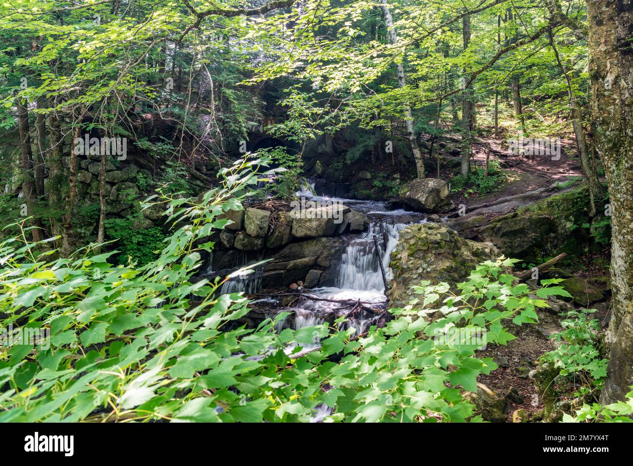 Ruines Carbide Willson, Chelsea, Québec, Canada Stock Photo