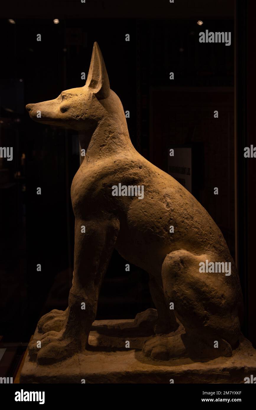 Sculpture of dog Anubis, the god and guardian of the tomb, pyramids