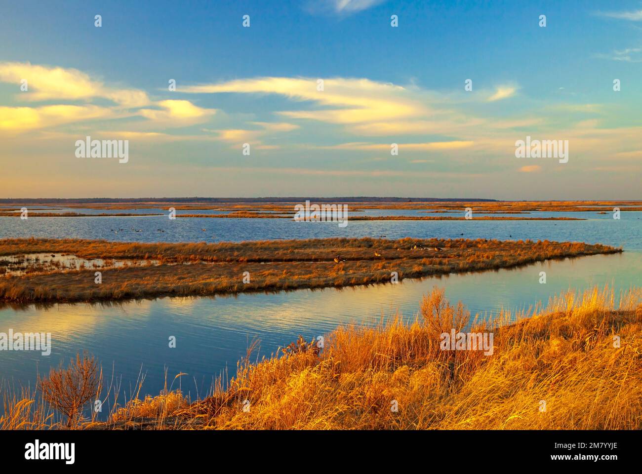 A salt marsh at the Edwin B. Forsythe National Wildlife Refuge; New Jersey at sunset. Stock Photo