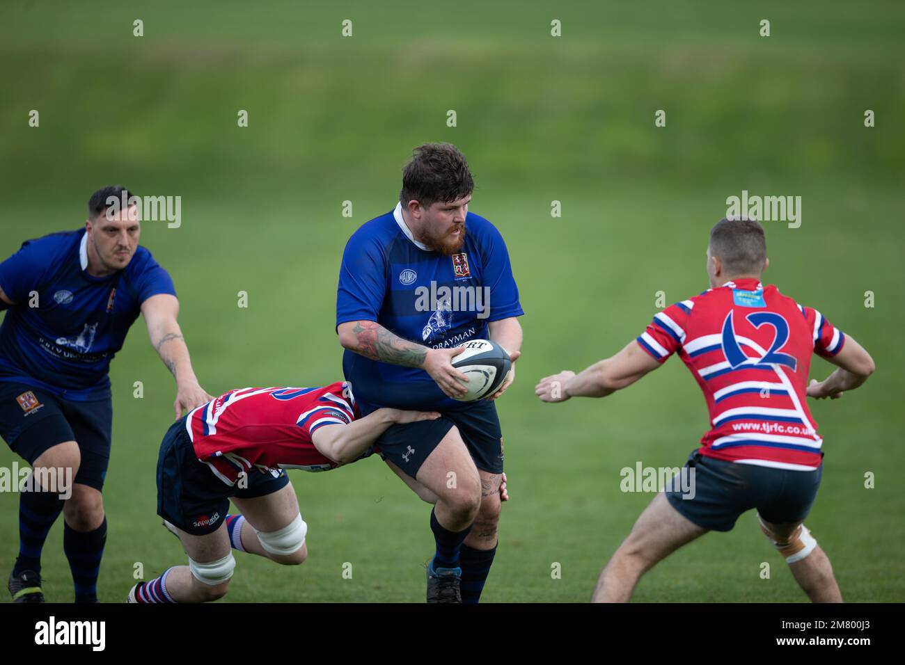Rugby team game action rugby player Stock Photo - Alamy
