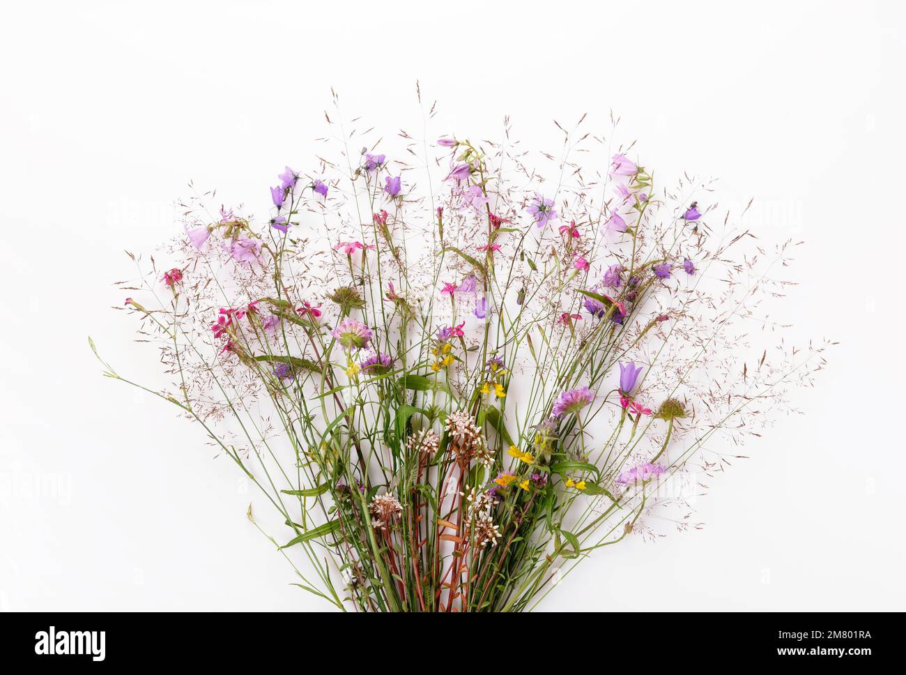Festive bouquet of yellow and purple, blue wildflowers, herbs on white background. Stock Photo