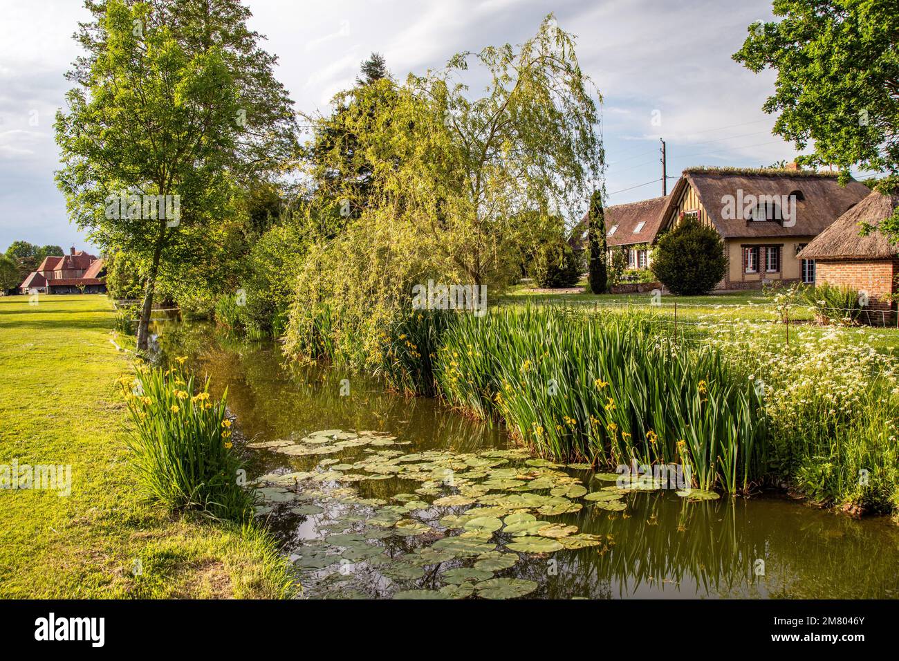 NORMAN THATCHED ROOF HOUSE ON A DEAD ARM OF THE RIVER, VALLEY OF THE