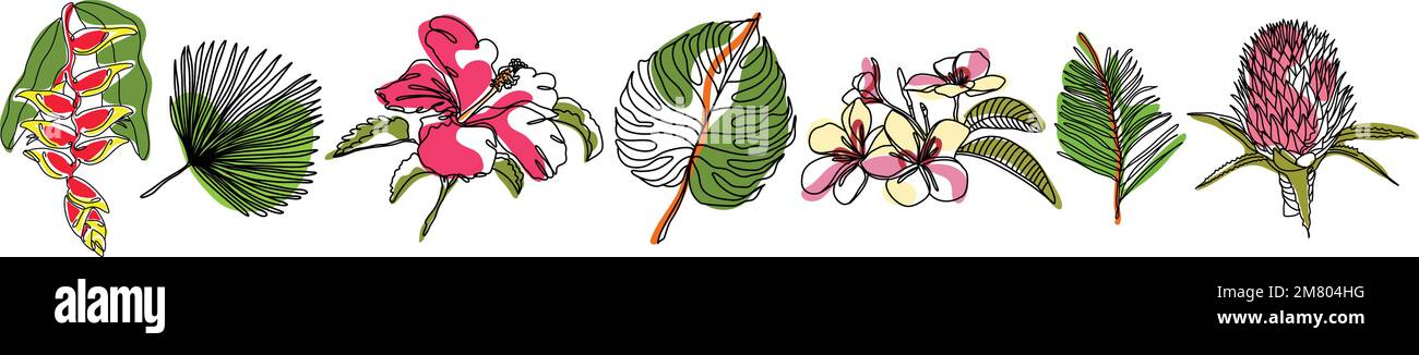 Tropical collection with hawaiian exotic flowers and leaves. Vector one line isolated elements on the white background. Bihai flower, protea, monstera Stock Vector