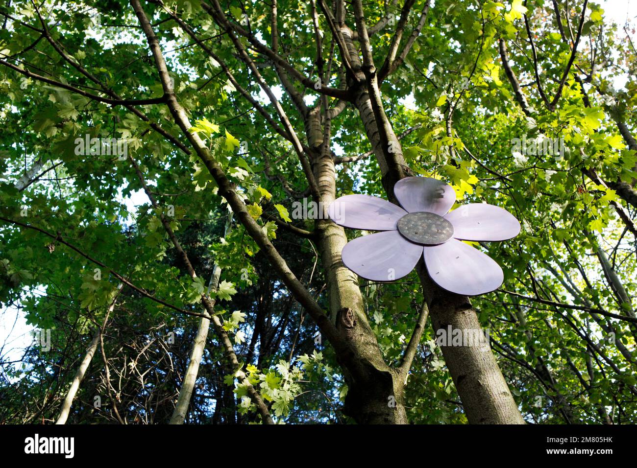 Cleveland Police attestation event at the Learning and Development A large painted wooden flower in woodland near Redcar, North Yorkshire, UK. 02/11/2 Stock Photo