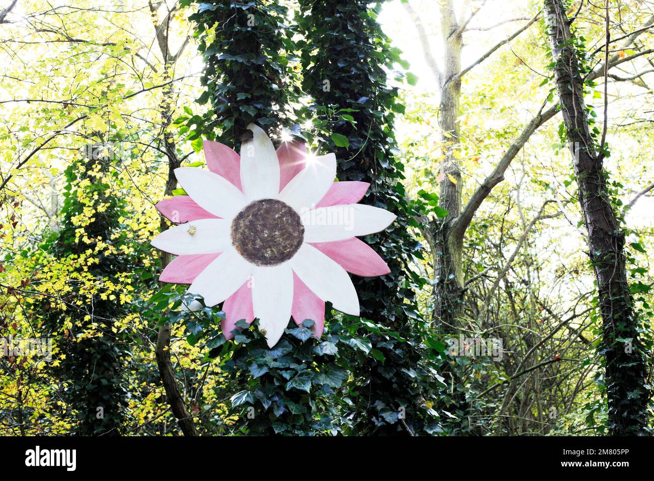A large painted wooden flower in woodland near Redcar, North Yorkshire, UK. 02/11/2021 Photograph: Stuart Boulton Stock Photo
