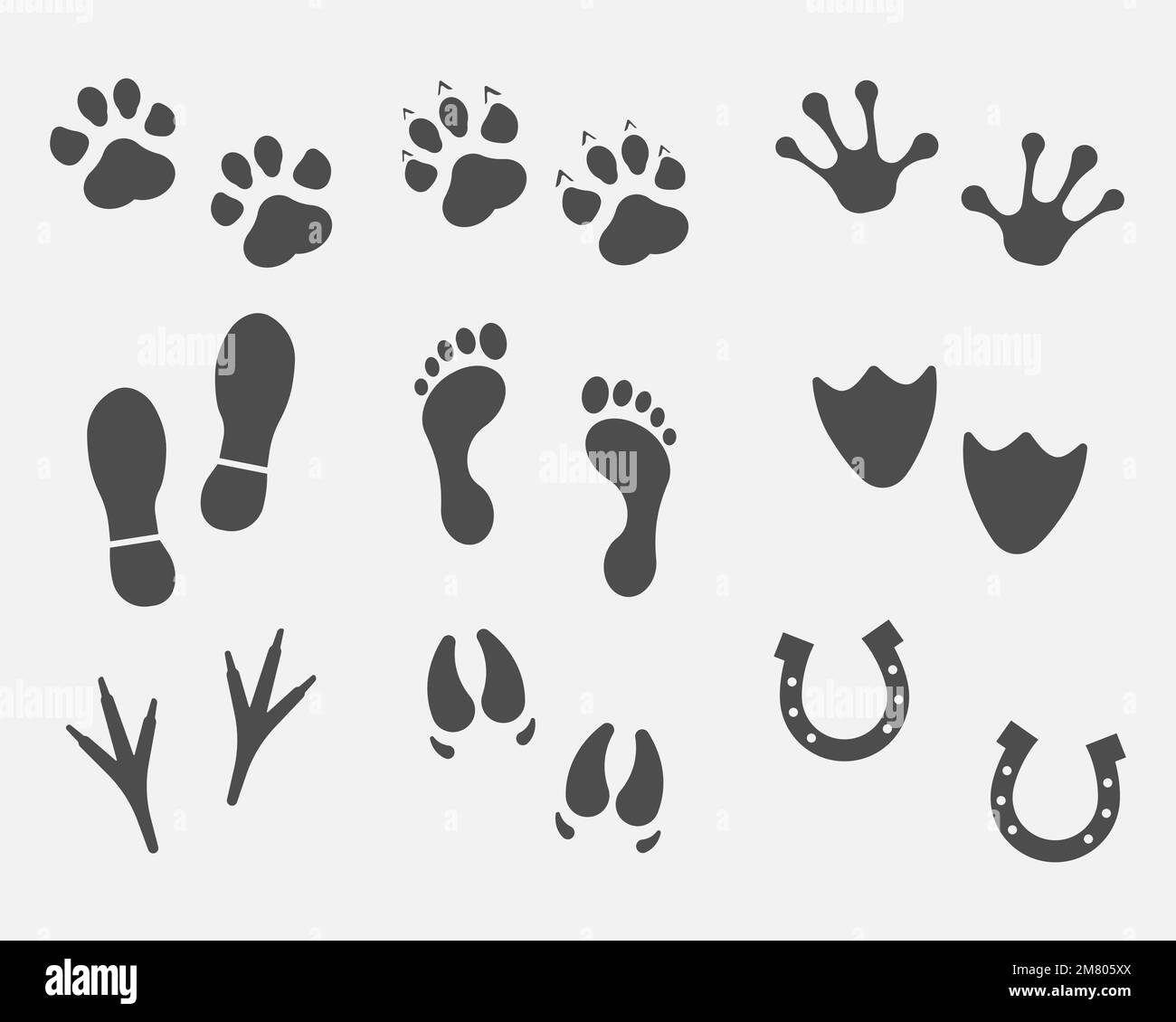 Black Different Animal and Bird Silhouettes Tracks Set isolated on white background. Vector illustration. Eps 10. Stock Vector