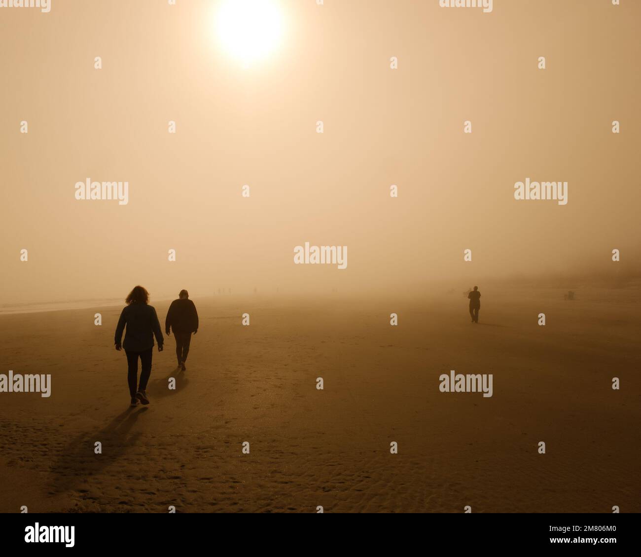 Beach in heavy fog , looks like the desert or an alien planet. Stock Photo
