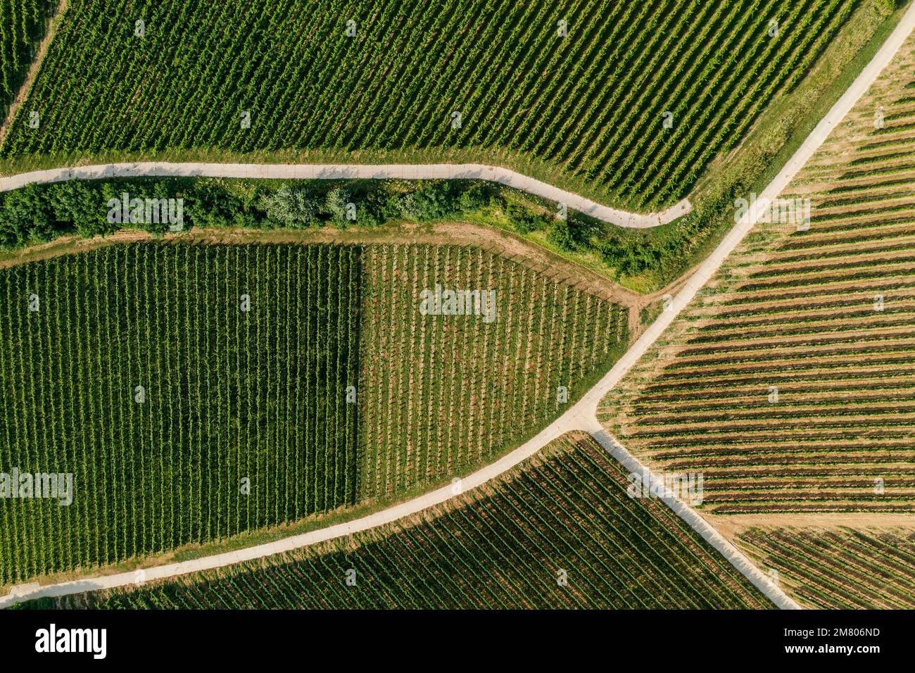 Villany wineyards. This is the one of famous wine regions in Hungary. This amazing geolgical formation name is devil's ditch. Hungarian name is ordoga Stock Photo