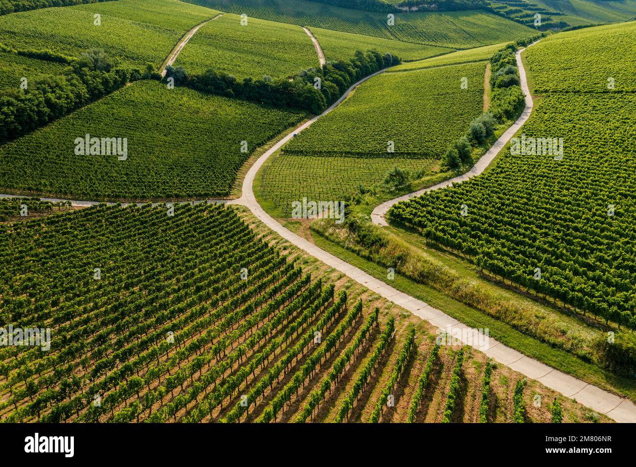 Villany wineyards. This is the one of famous wine regions in Hungary. This amazing geolgical formation name is devil's ditch. Hungarian name is ordoga Stock Photo