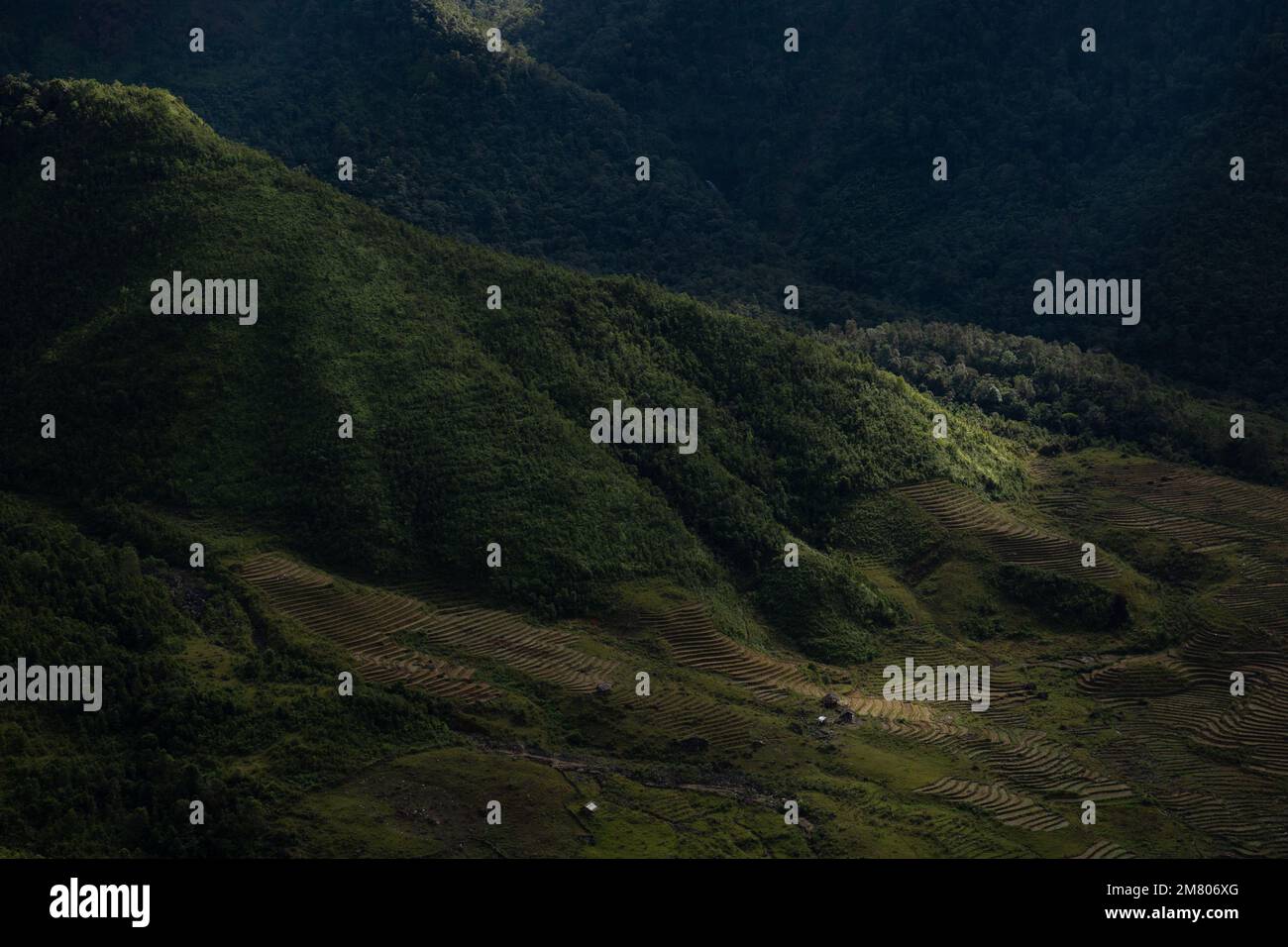 Sunrise, Rolling Hills, and High Mountains, in Sa Pa, Vietnam Stock Photo