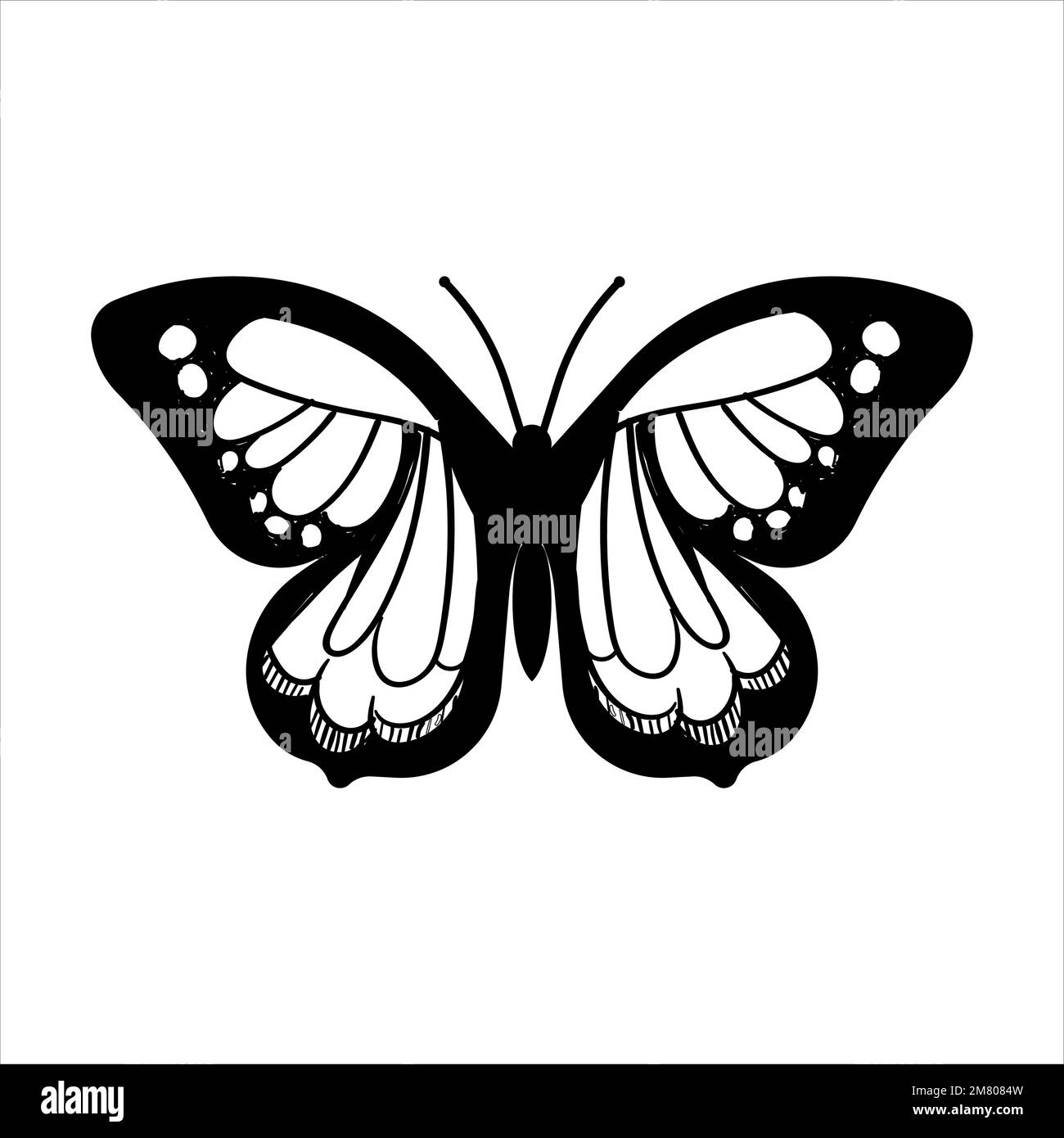 Butterfly set graphic black white isolated sketch illustration vector