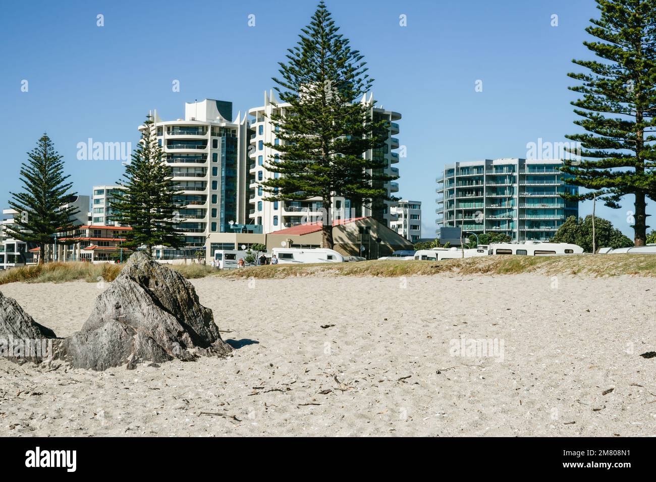 Tree and apartments in background to Main Beach at Mount Maunganui, New