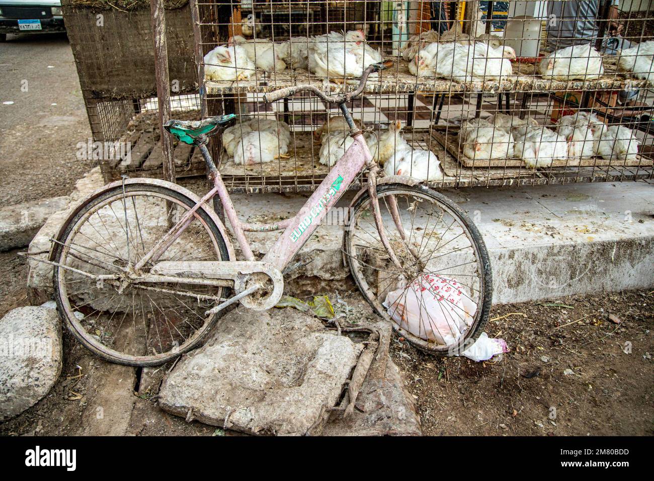 OLD BICYCLE AND CHICKENS, STAND SELLING POULTRY IN THE STREET ACROSS