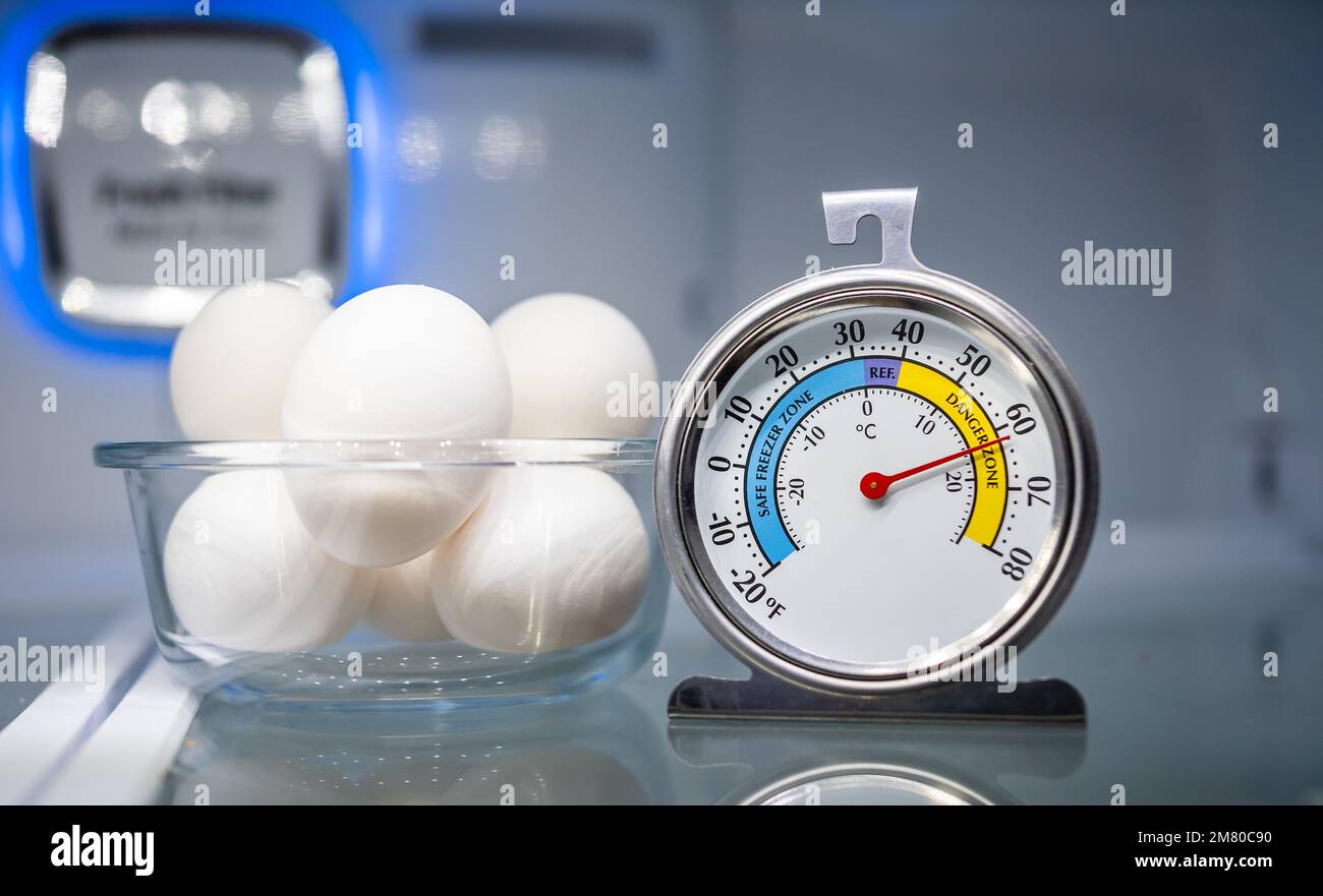 Refrigerator thermometer in cold storage unit. Refrigeration safety