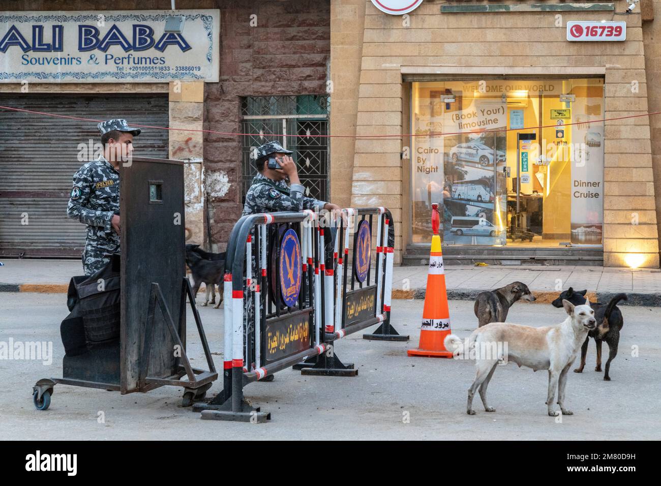 POLICE CHECKPOINT AND STRAY DOGS AT THE FOOT OF THE PYRAMIDS OF GIZA