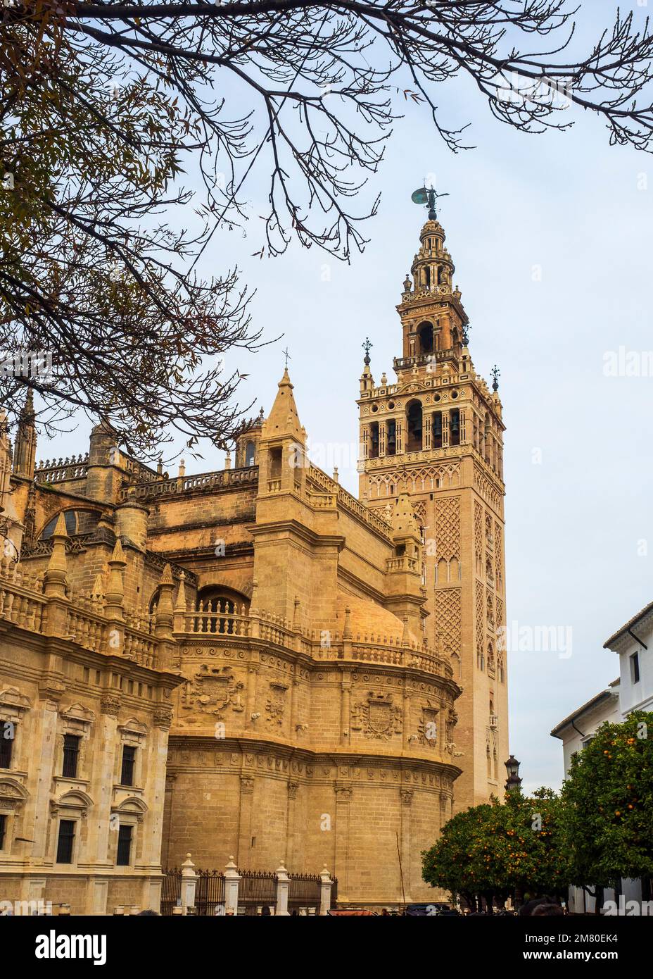 View of the famous Giralda of the cathedral of Seville. Stock Photo