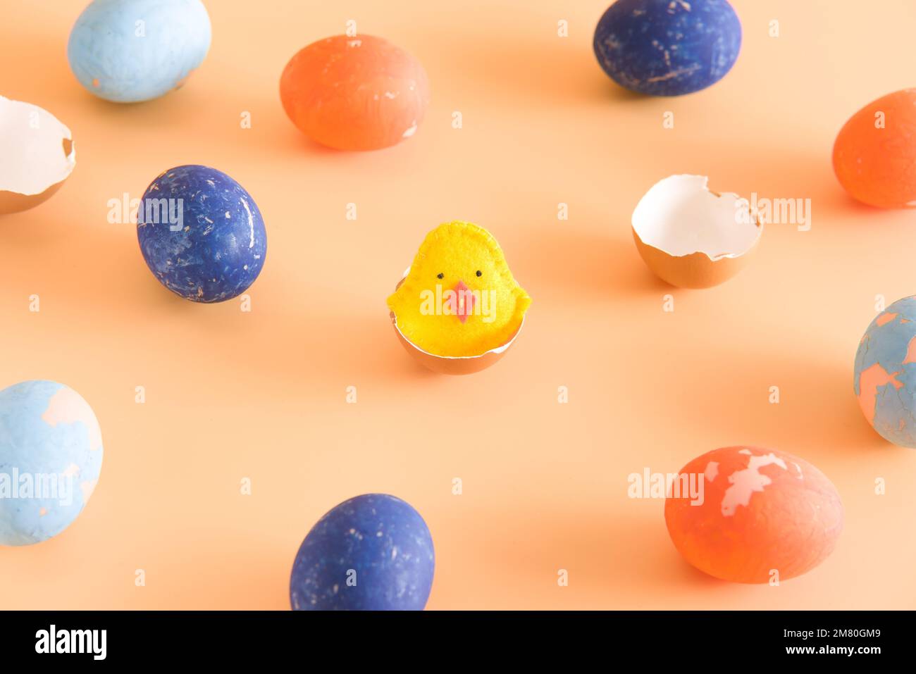 Diy easter chicken in eggshell. concept. beige background. layout. Stock Photo