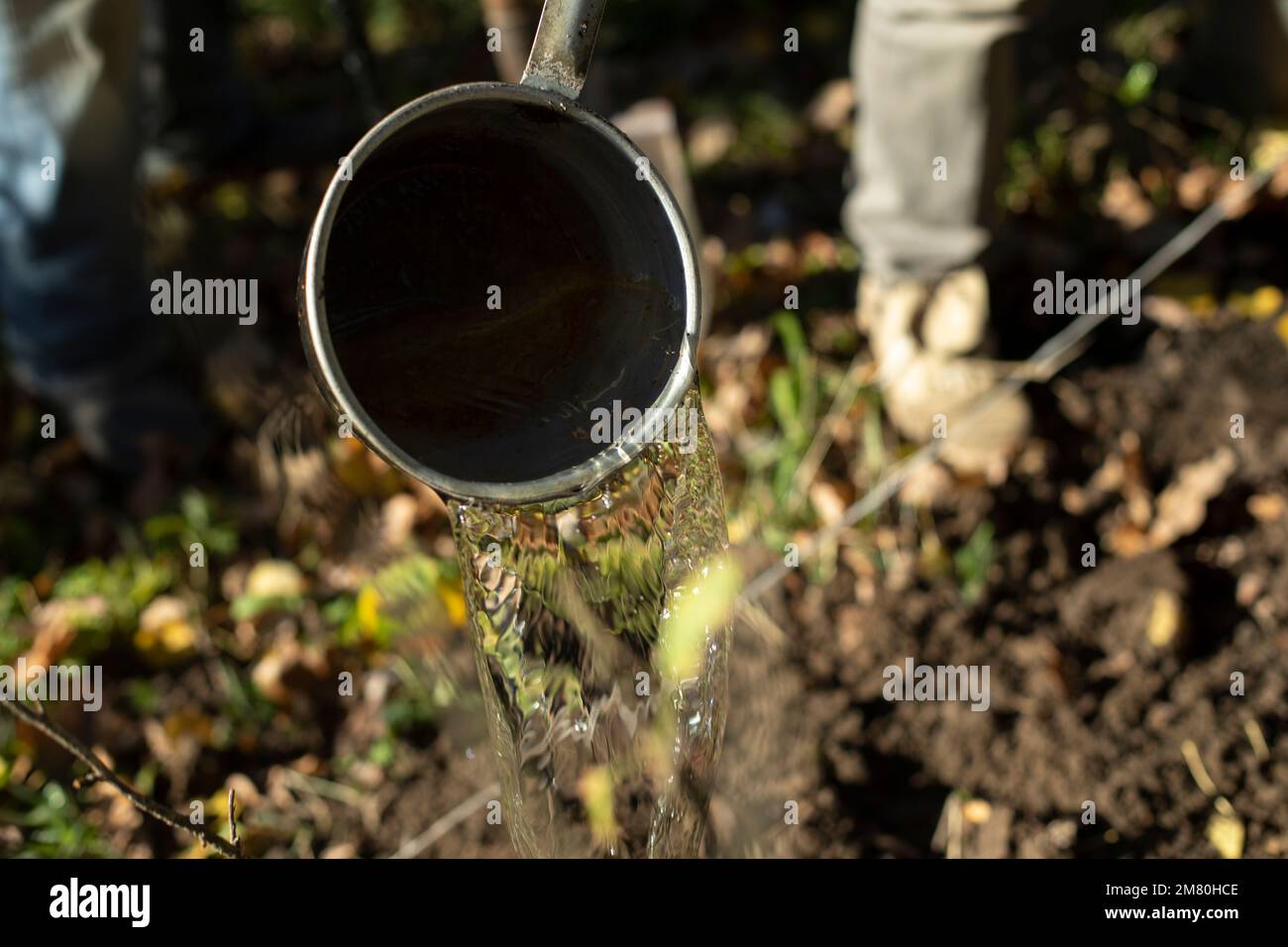 Bucket in garden. Watering plants. Water tank. Work in garden. Water pours on ground Stock Photo