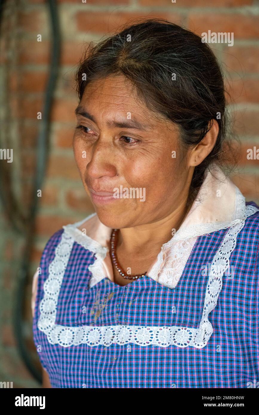 A Zapotec woman from San Marcos Tlapazola, Mexico, wearing the characteristic apron and satin dress typical of the town.  San Marcos is a small pueblo Stock Photo