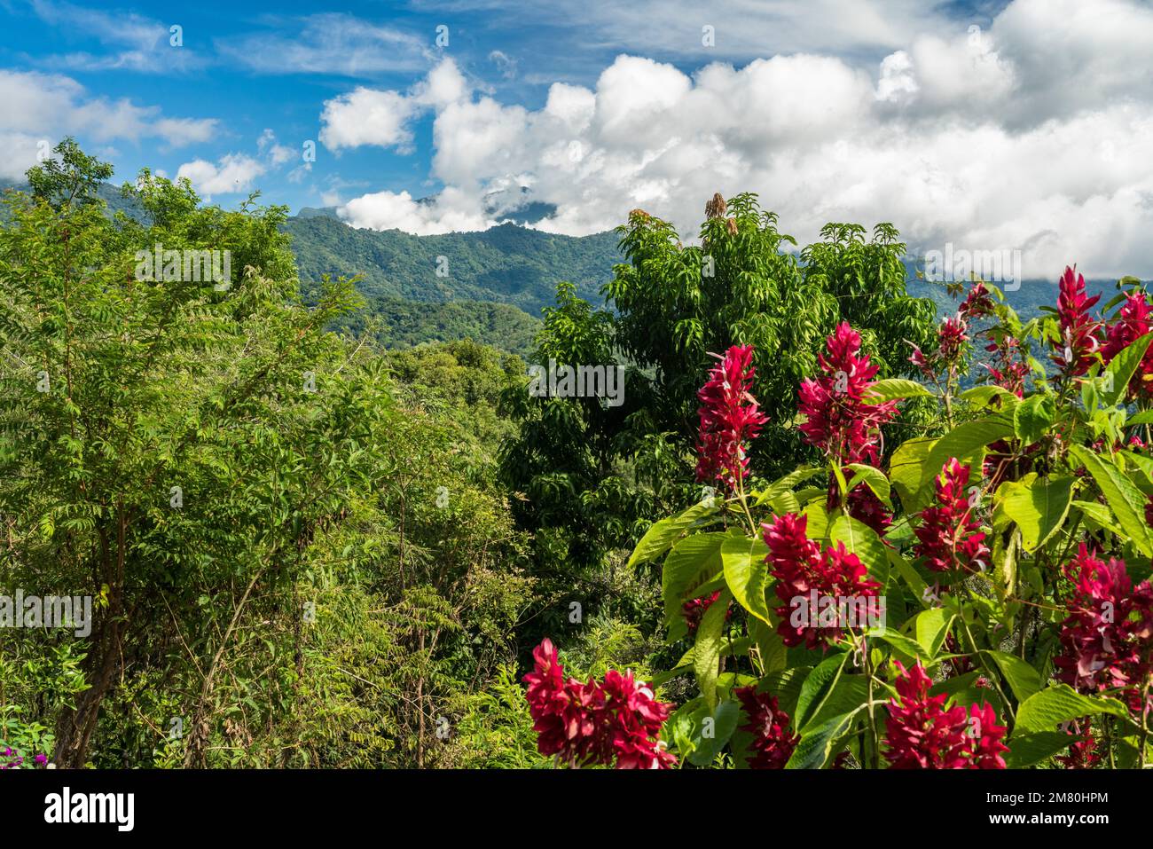 The Sierra Madre del Sur Mountains of Oaxaca, Mexico. Stock Photo