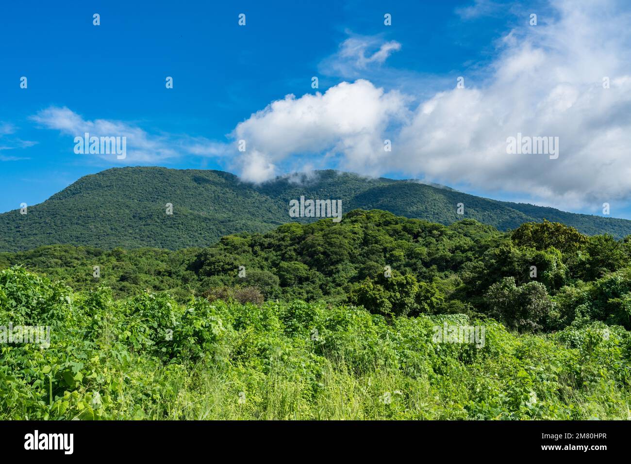 The Sierra Madre del Sur Mountains of Oaxaca, Mexico. Stock Photo