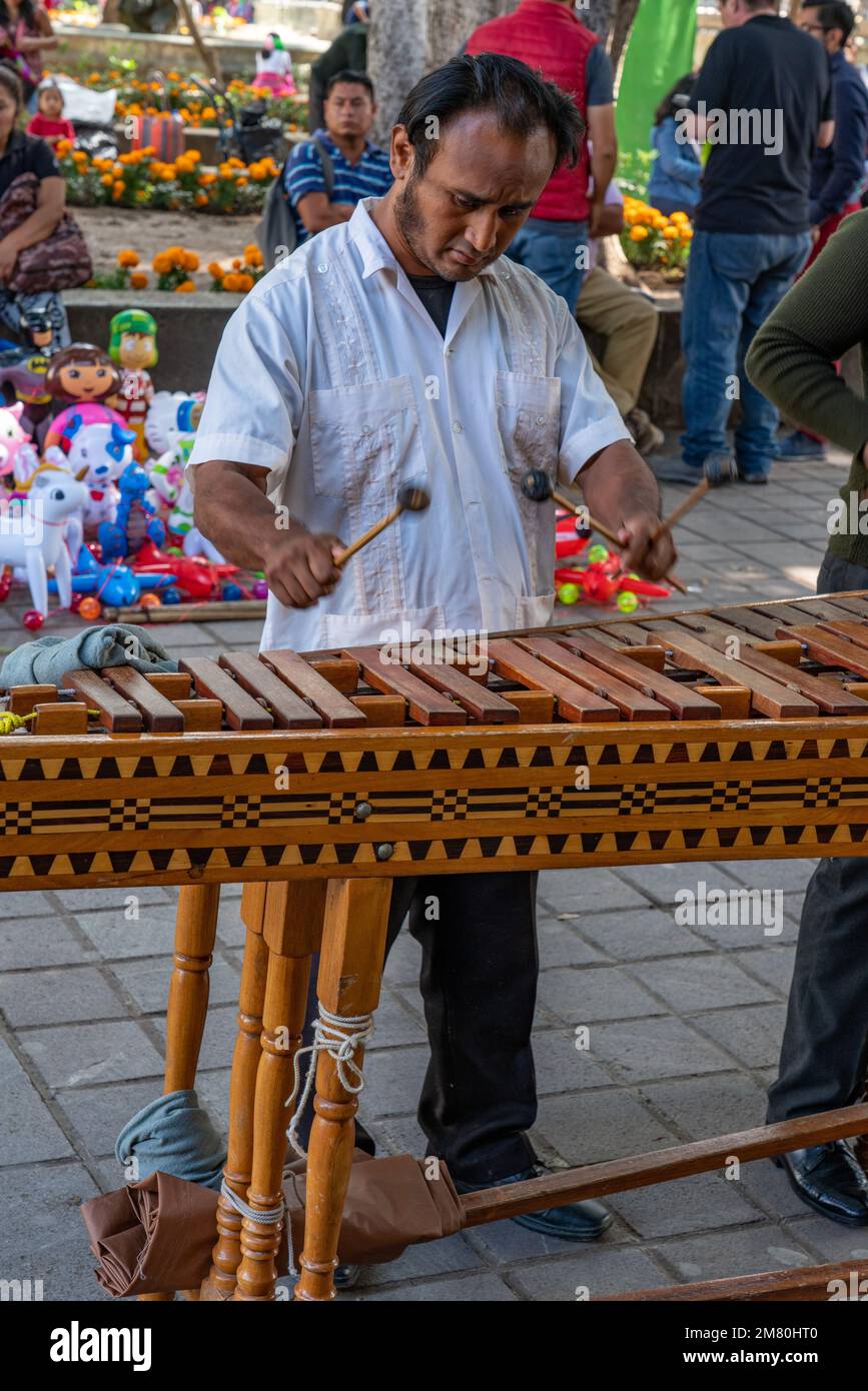 A man playing a marimba in the Zocalo square in the historic center of Oaxaca, Mexico. Stock Photo