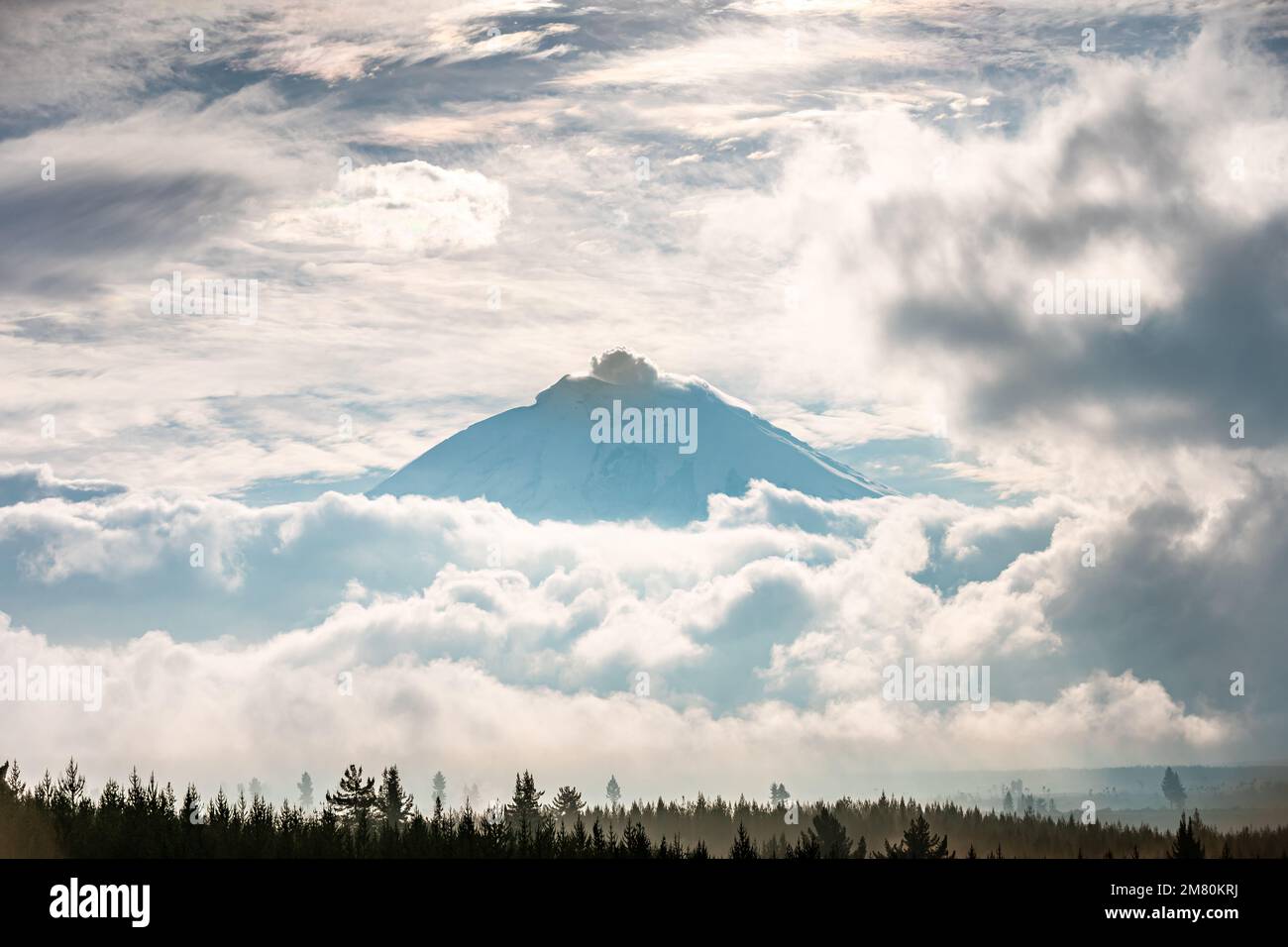 Chimborazo volcano in Andes, the highest mountain in Ecuador Stock ...