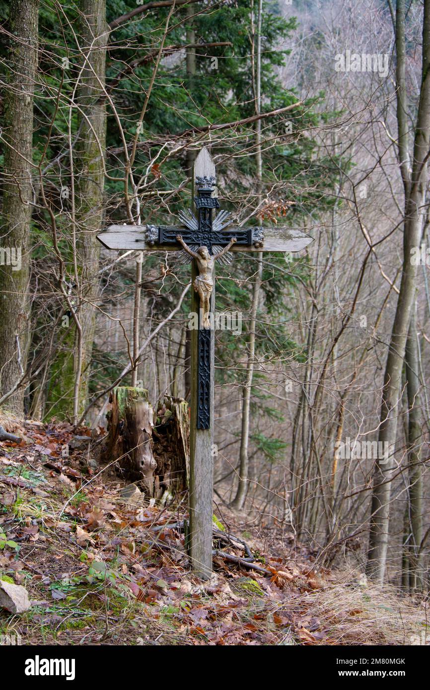 Crucified Jesus Christ on the wooden cross in the forest. Close up ...