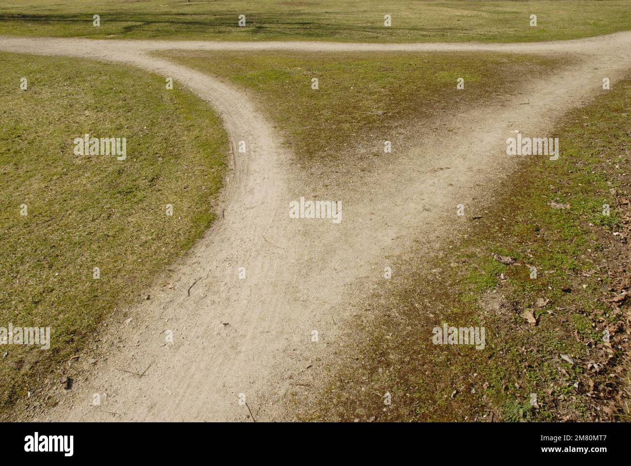fork in the road Stock Photo Alamy