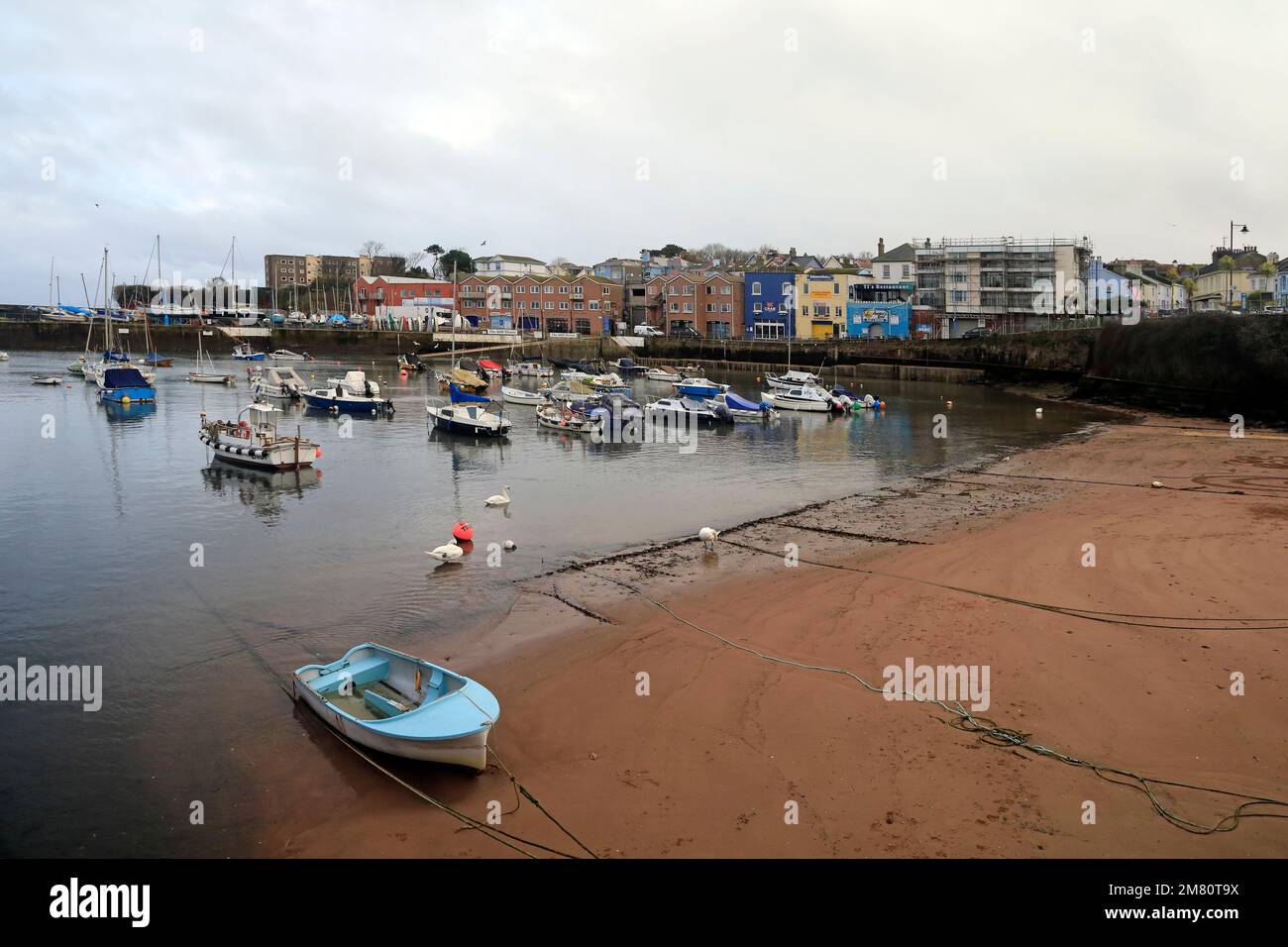 Small blue boat and swans at Paignton Harbour low tide. Devon. Taken