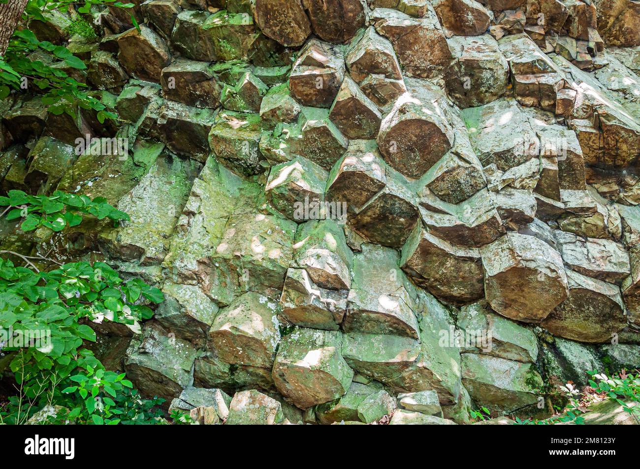 Columnar Flow Columnar Flows, Shenandoah National Park Virginia USA, Virginia Stock ...