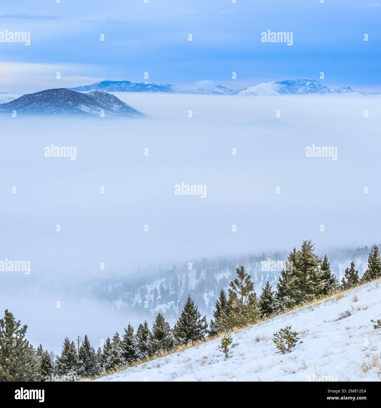 Winter storm helena hi-res stock photography and images - Alamy