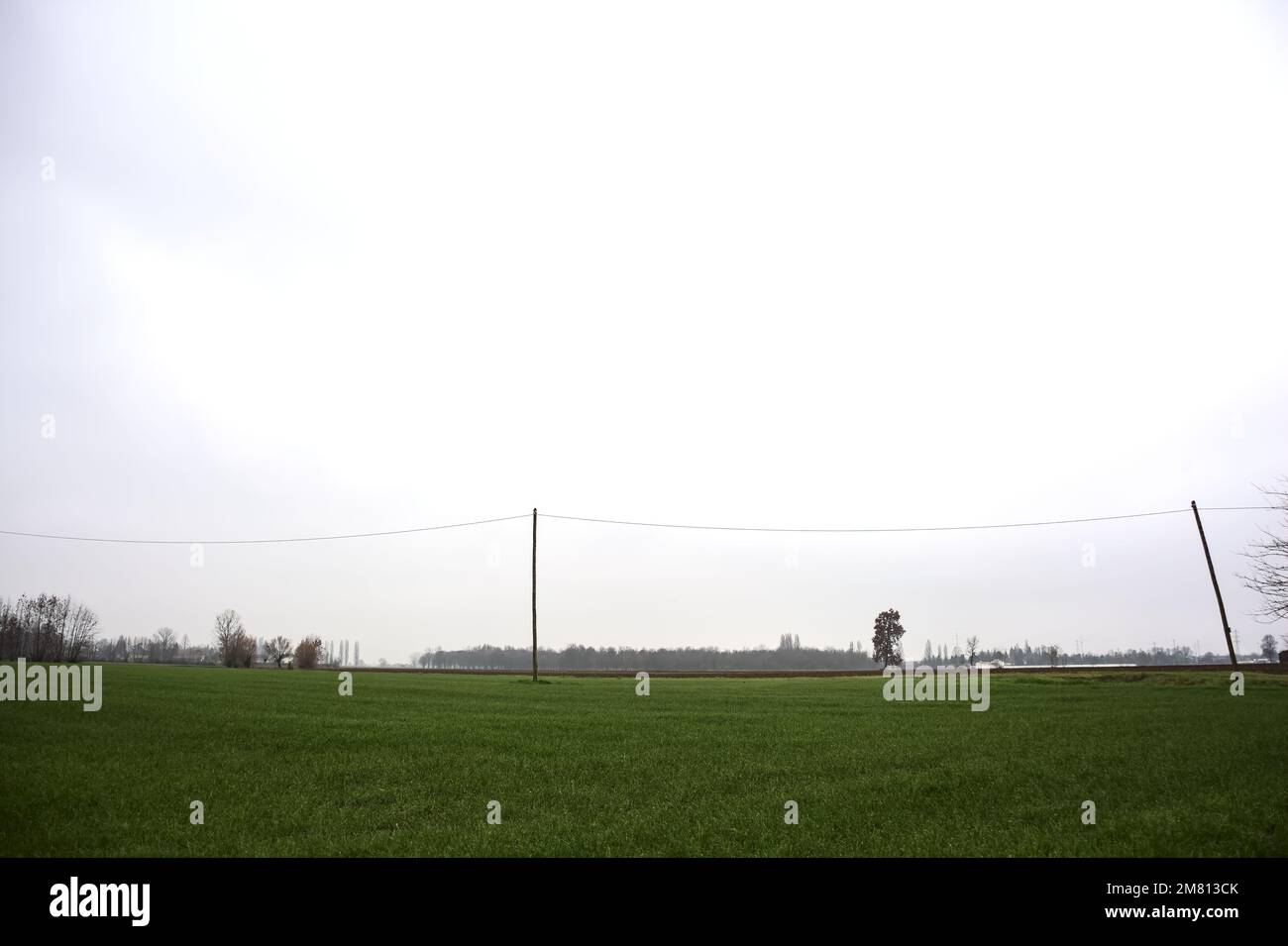 Cultivated field on a cloudy day with a tree framed by an over head ...