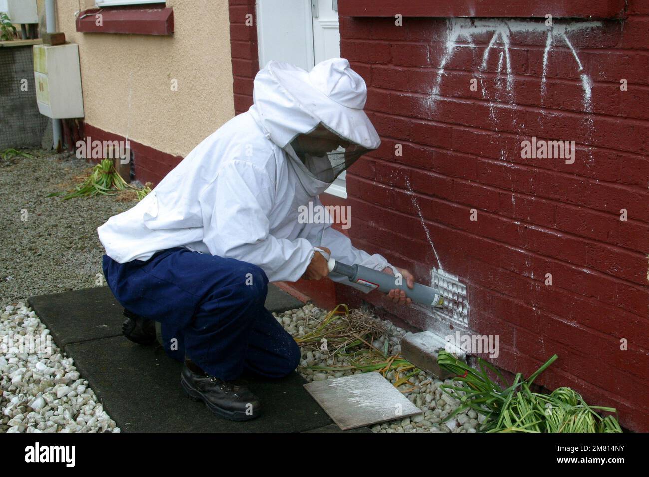 Male man in protective clothing suit and head using a puffer to blow powder into a ventilation brick to rid property of pests. Wearing special clothing to protect himself  from bee & wasp and general stings and attack while they work. He wears a hat and veil to avoid stings around the face and eyes, but they can also wear special pants, plus a jacket and gloves. Ayrshire, Scotland UK Stock Photo