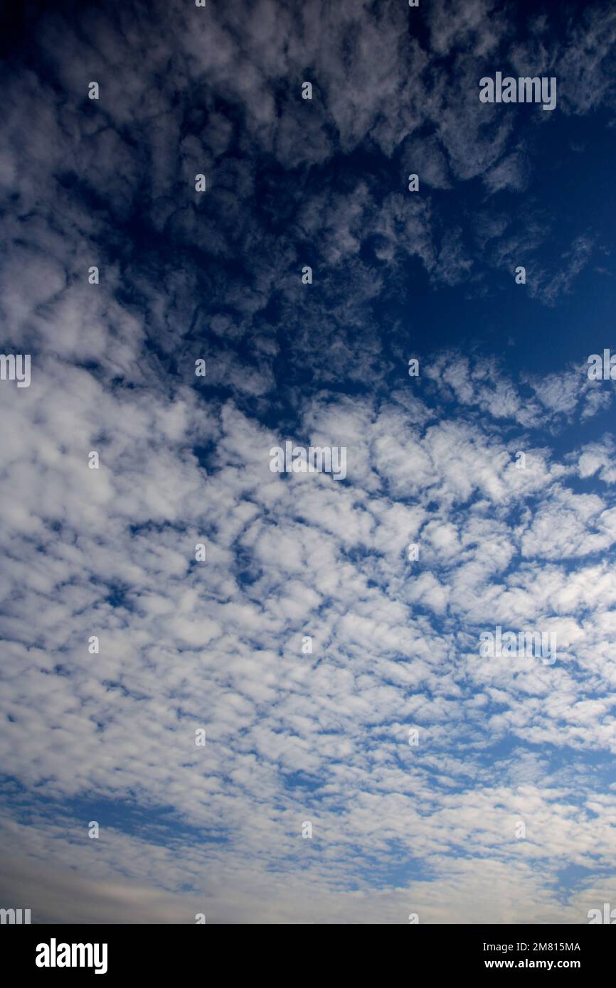 Altocumulus stratiformis clouds in a blue sky Stock Photo - Alamy