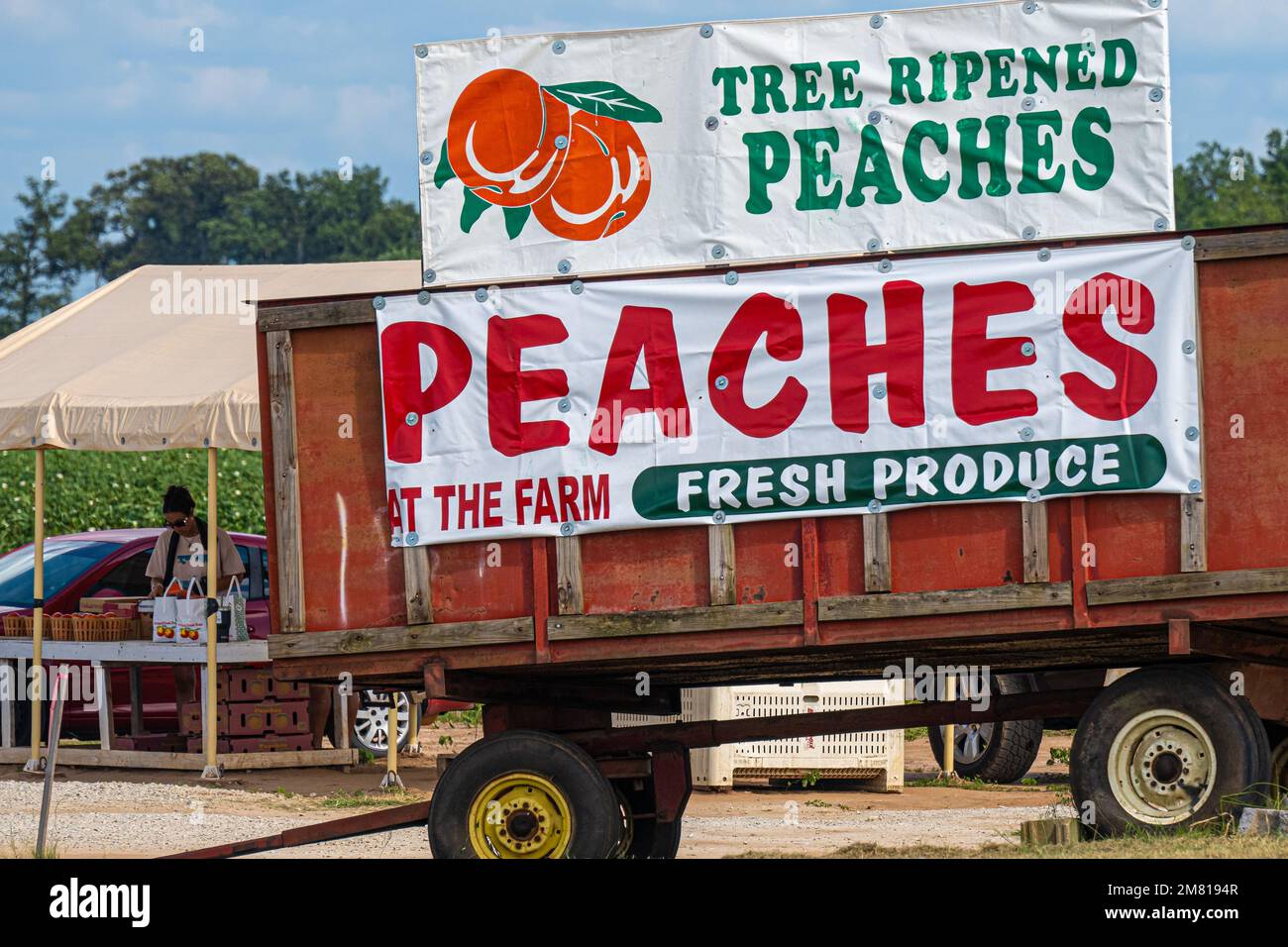 Farm fresh Georgia peaches at a roadside stand in Warner Robins, Georgia. (USA) Stock Photo