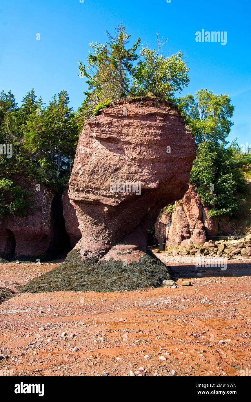 Hopwewell Rocks Hopewell rocks blue sky people hi-res stock photography and images - Alamy